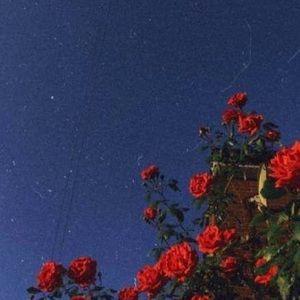 Meet your Posher, Jocelyn